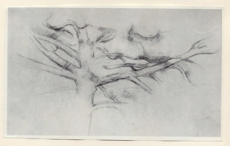 Cézanne, Paul , Le grand pin