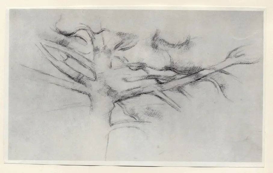 Anonimo , C&eacute;zanne, Paul , fronte