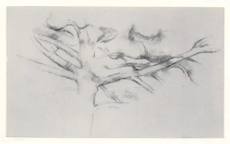 Anonimo, Anonimo , fronte