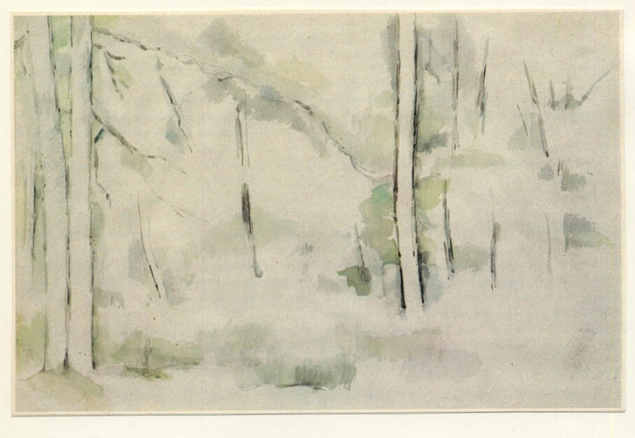 Anonimo , Cézanne, Paul , fronte