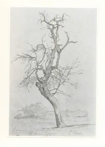 Anonimo, Anonimo , fronte