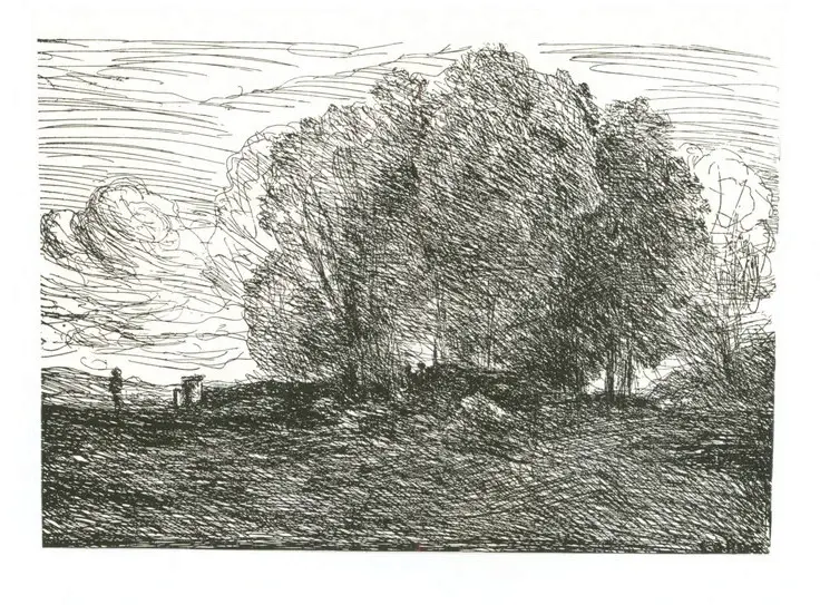 Anonimo, Anonimo , fronte