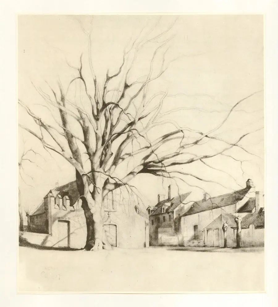 Anonimo, Anonimo , fronte