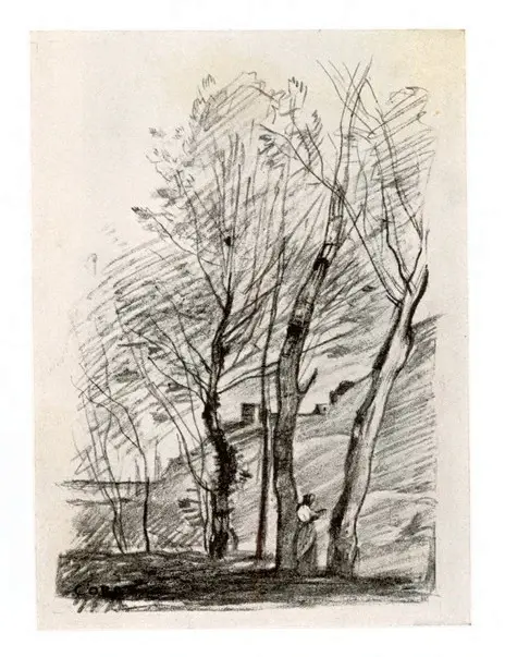 Anonimo, Anonimo , fronte