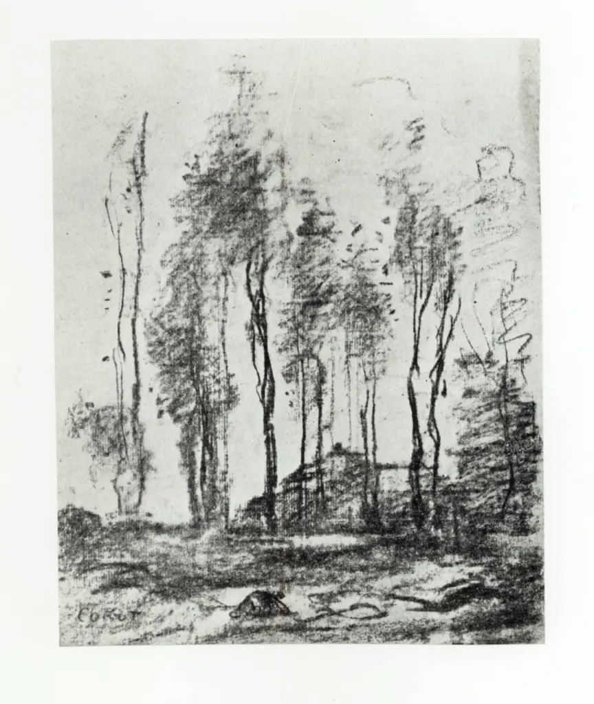 Anonimo, Anonimo , fronte