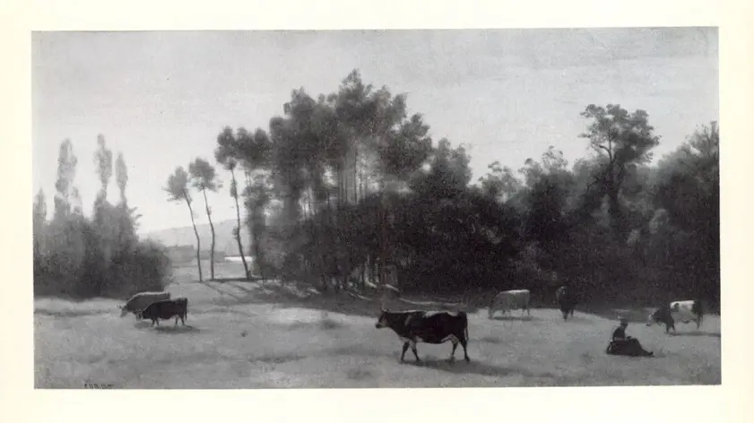 Anonimo, Anonimo , fronte