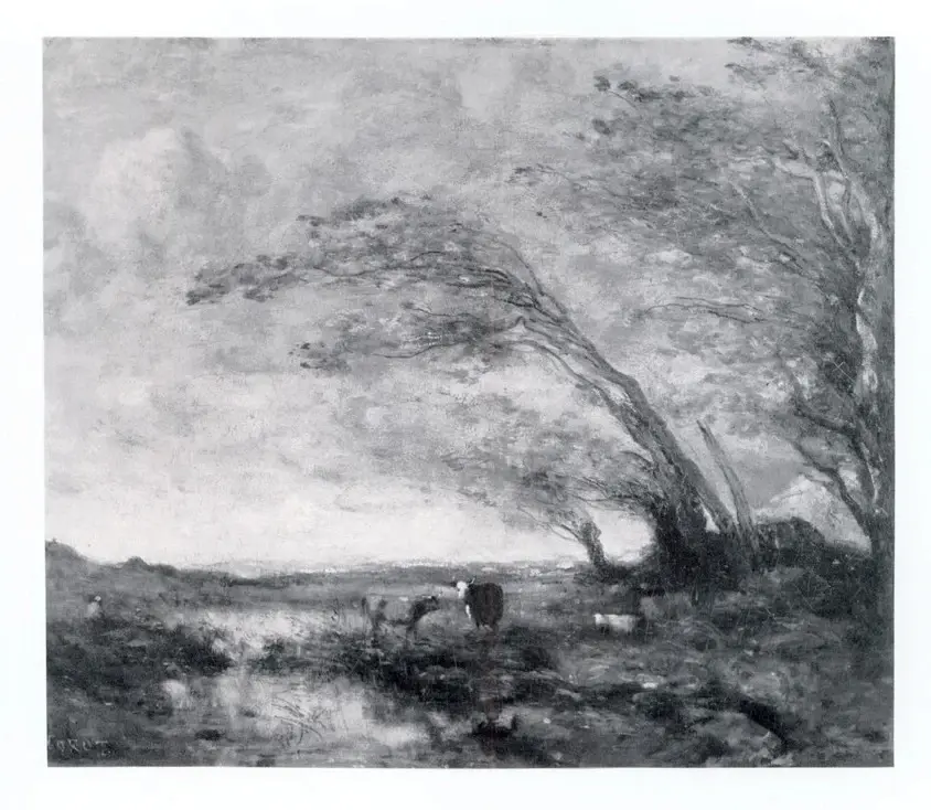 Anonimo, Anonimo , fronte