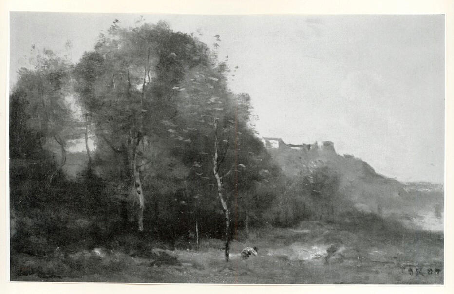 Anonimo , fronte