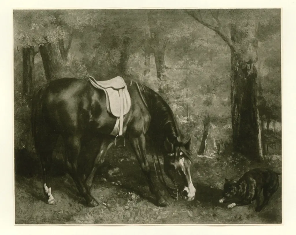 Anonimo, Anonimo , fronte