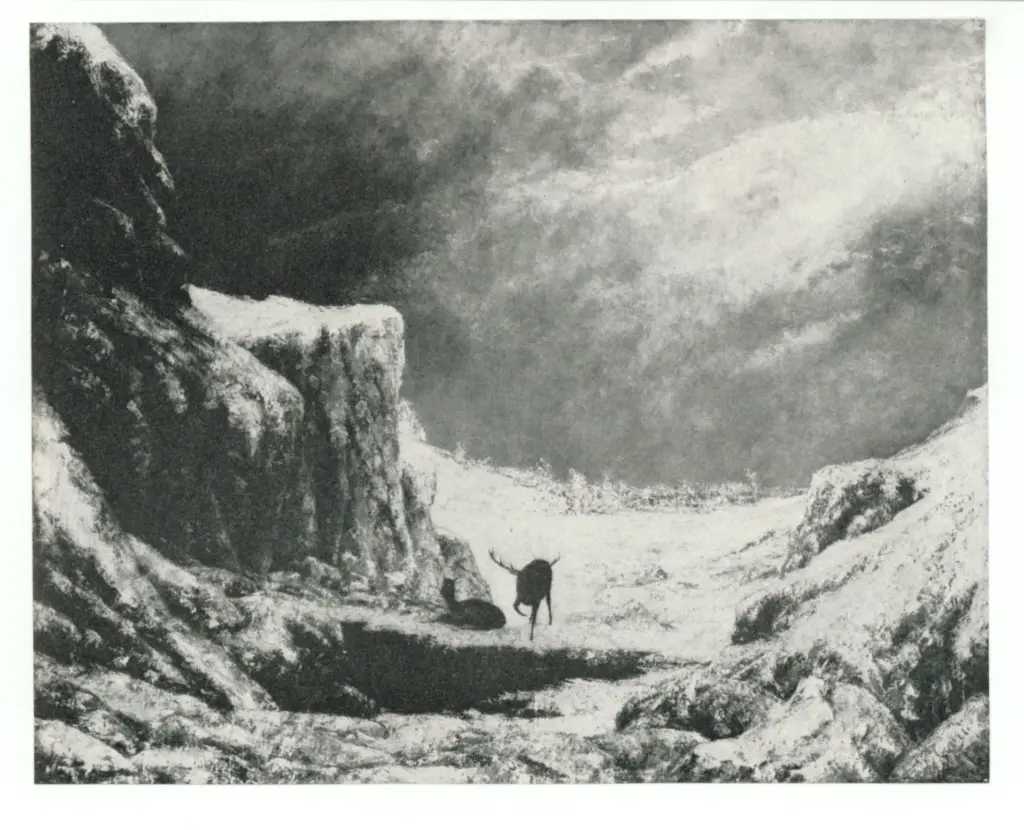 Anonimo, Anonimo , fronte