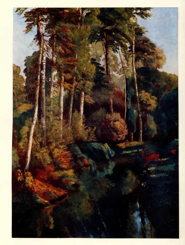 Anonimo, Anonimo , fronte