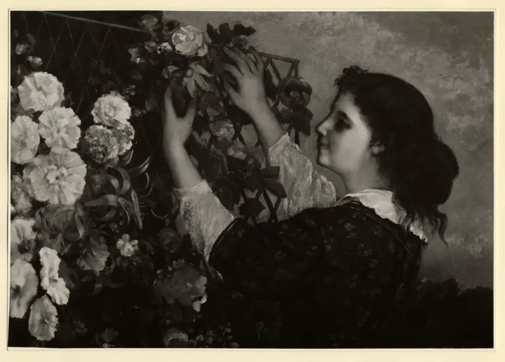 Anonimo, Anonimo , fronte