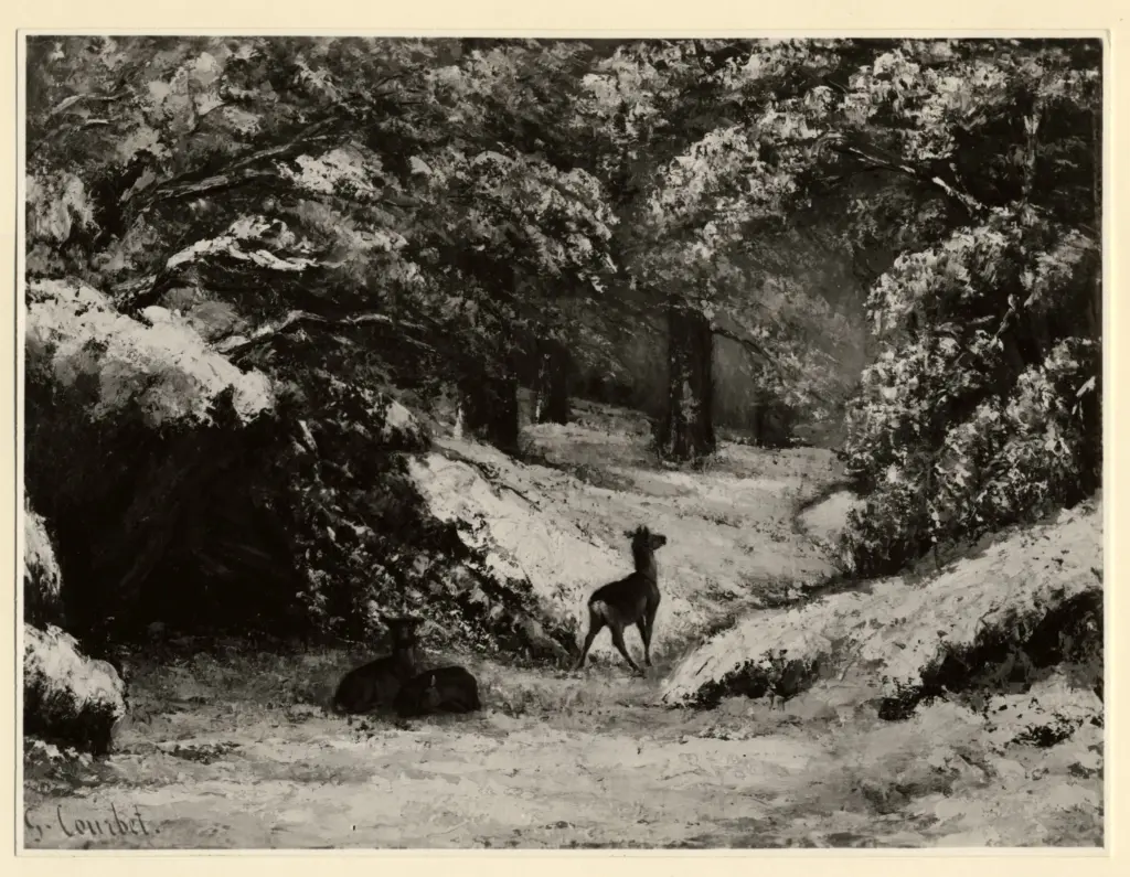 Anonimo, Anonimo , fronte