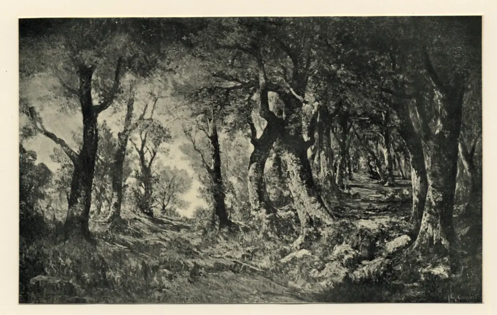 Anonimo, Anonimo , fronte