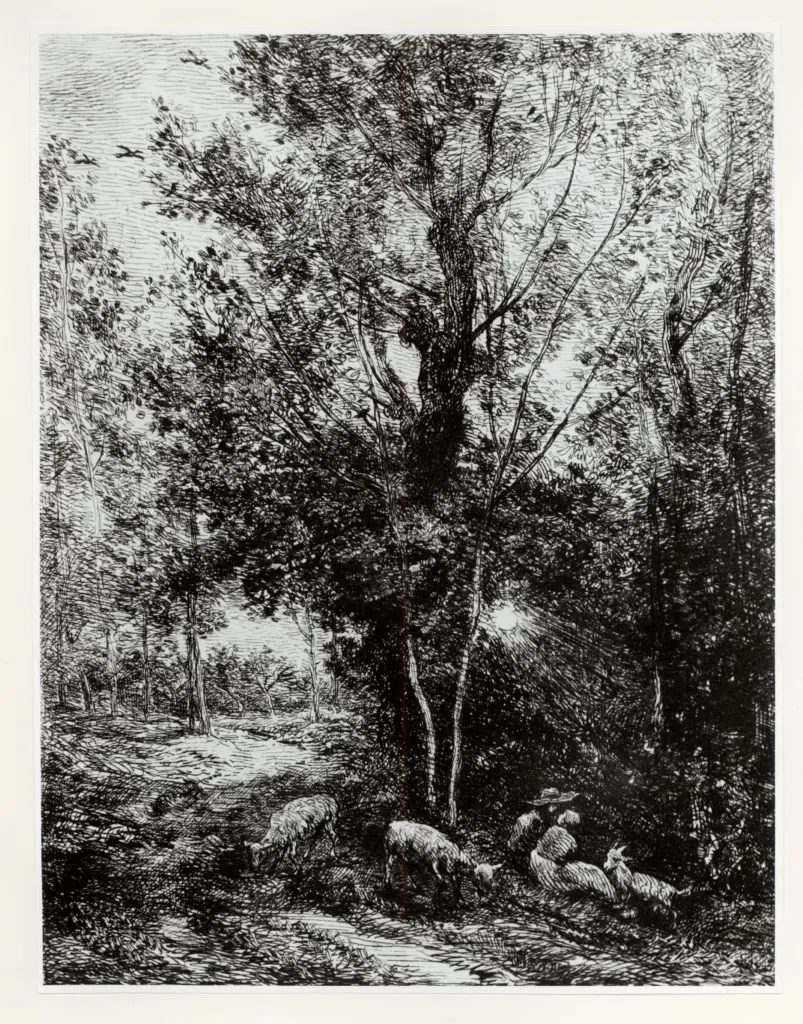 Anonimo, Anonimo , fronte