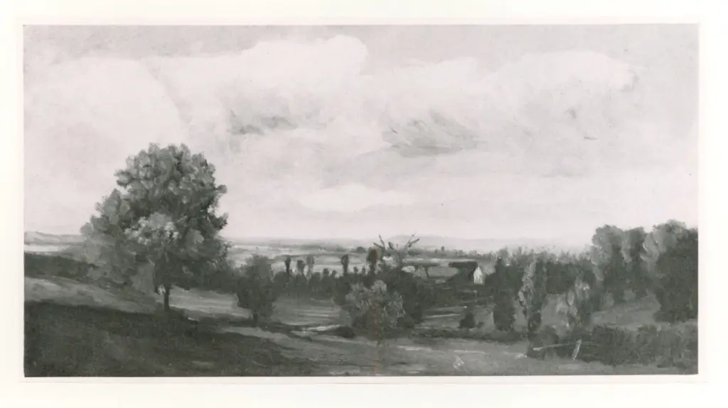 Anonimo, Anonimo , fronte