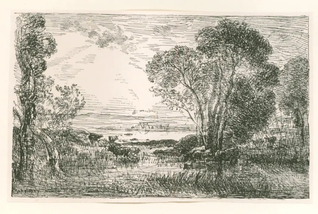 Anonimo, Anonimo , fronte