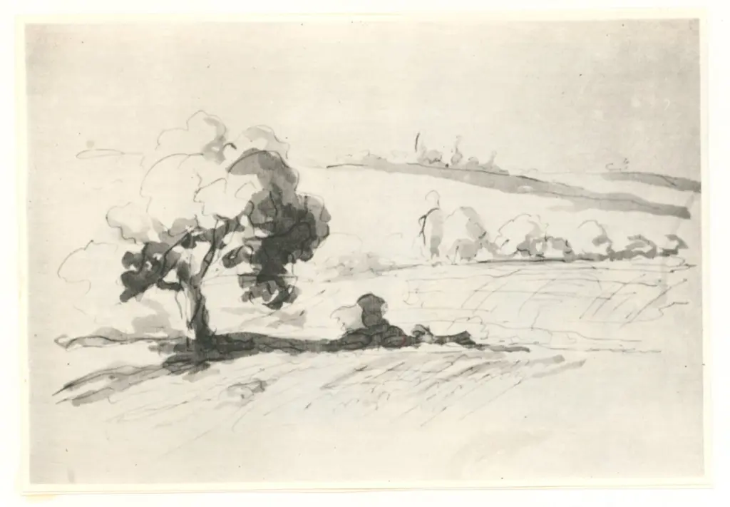 Anonimo, Anonimo , fronte