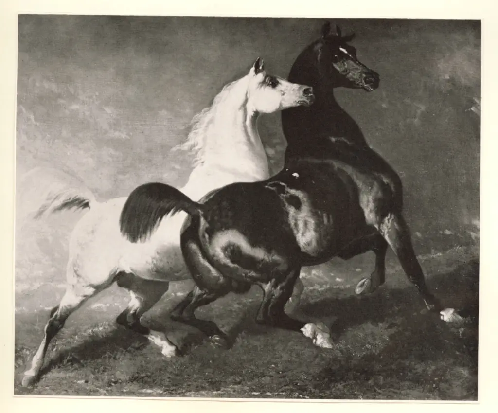 De Breux, Alfred , Due stalloni in libert&agrave;