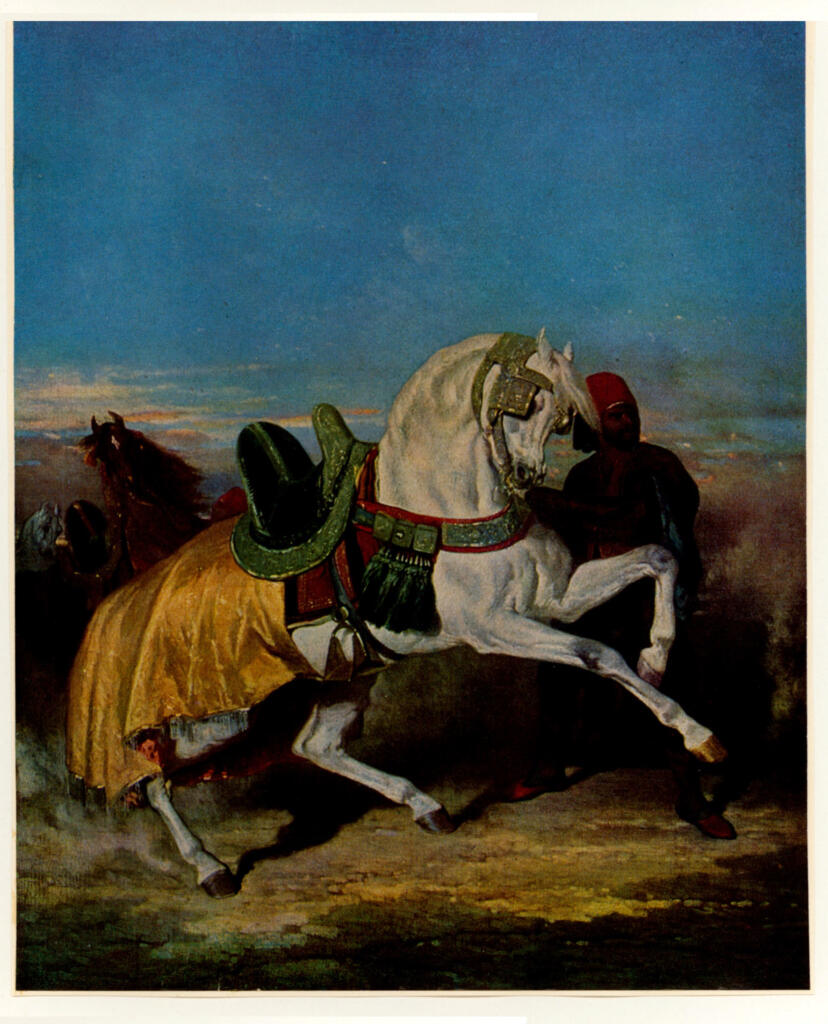 Anonimo, Anonimo , fronte