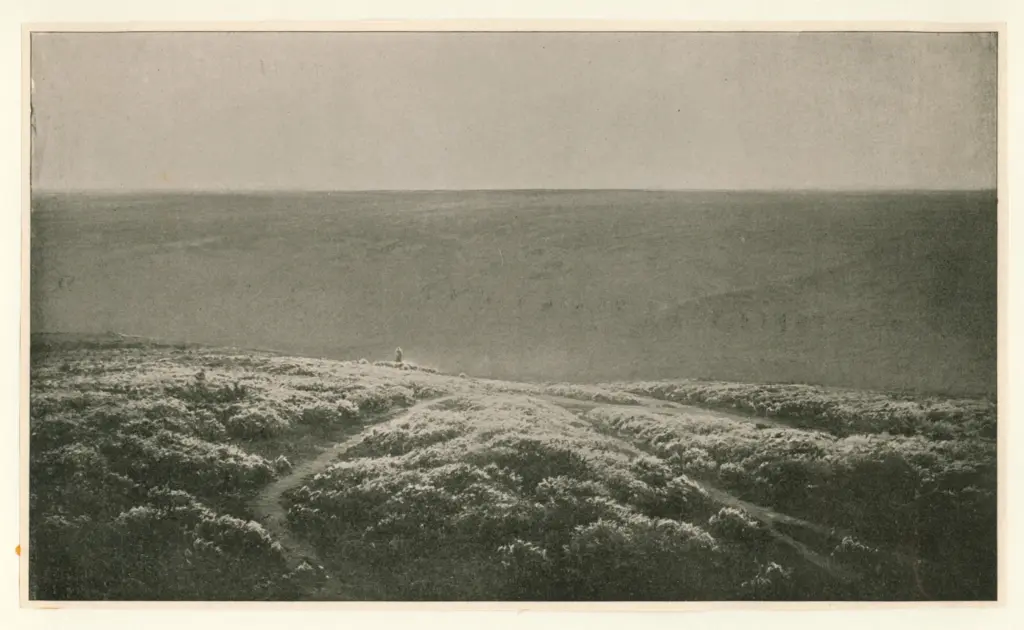 Anonimo , Didier-Pouget, William - sec. XIX - La Lande Aux Bruy&egrave;res , fronte