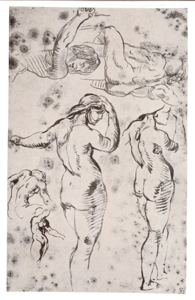 Anonimo, Anonimo , fronte