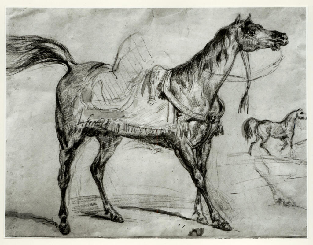 Anonimo , Delacroix, Eugène - sec. XIX - Stallone arabo sellato
