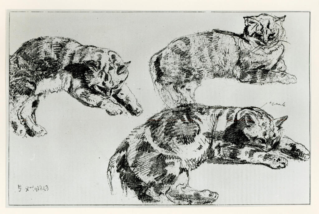 Anonimo , Delacroix, Eugène - sec. XIX - Studio di gatti , fronte