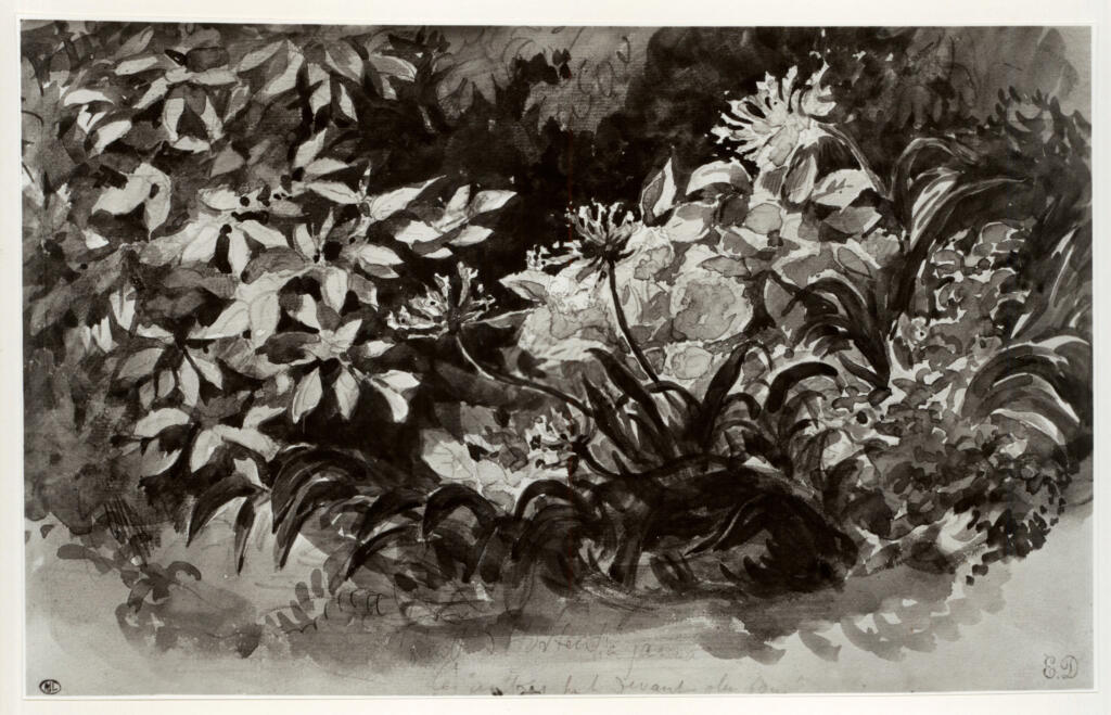 Anonimo , Delacroix, Eugène - sec. XIX - Fiori , fronte