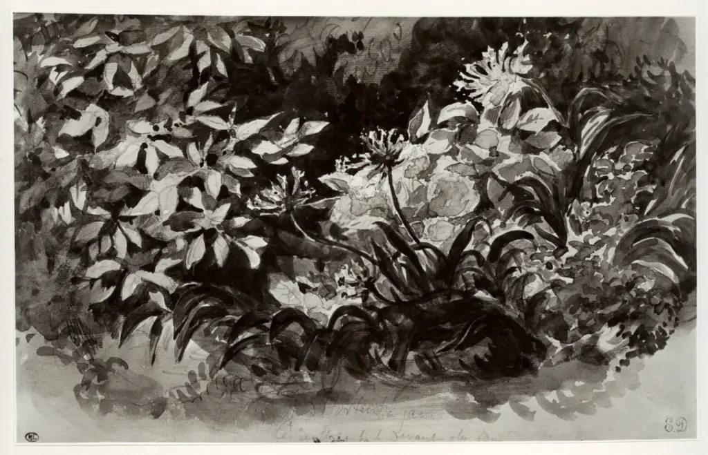 Anonimo , Delacroix, Eug&egrave;ne - sec. XIX - Fiori , fronte