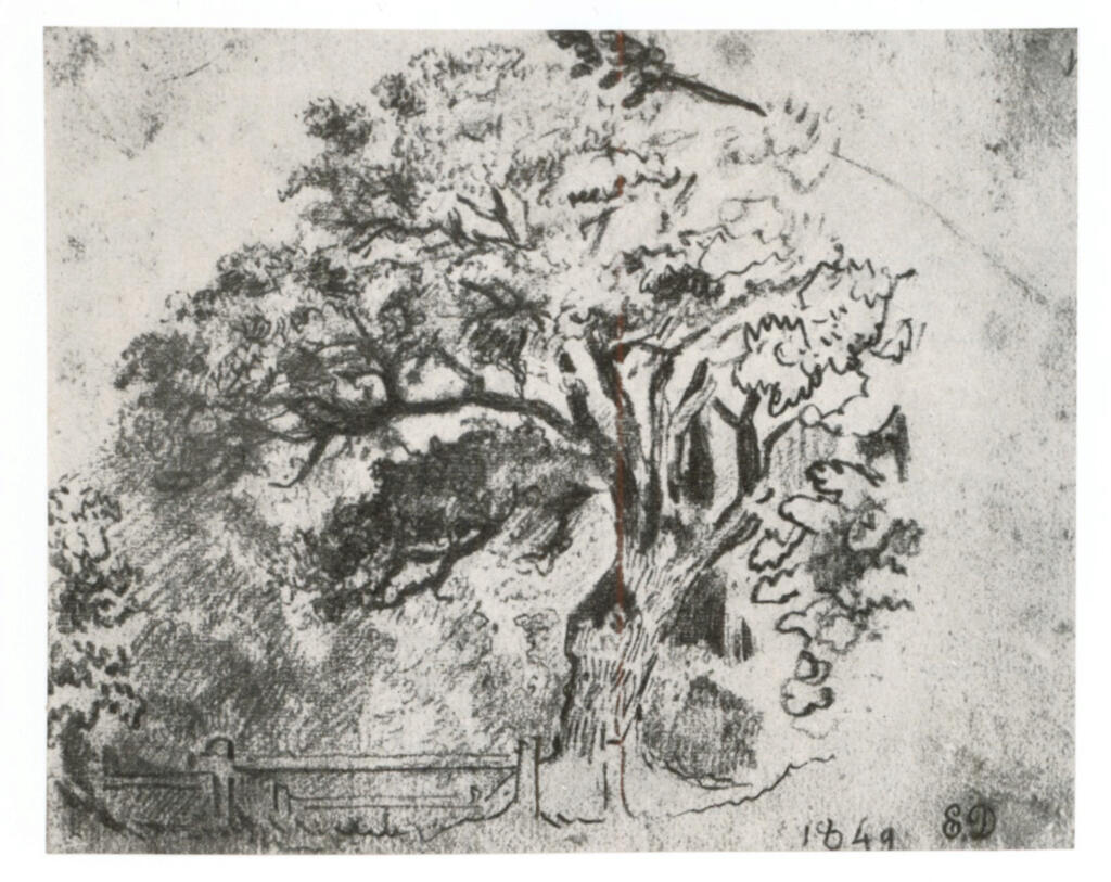 Anonimo , Delacroix, Eugène - sec. XIX - La quercia Prieur della foresta di Sénart , fronte