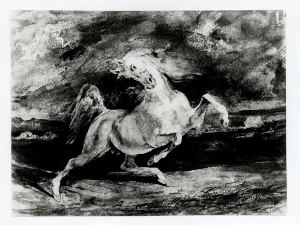 Anonimo, Anonimo , fronte