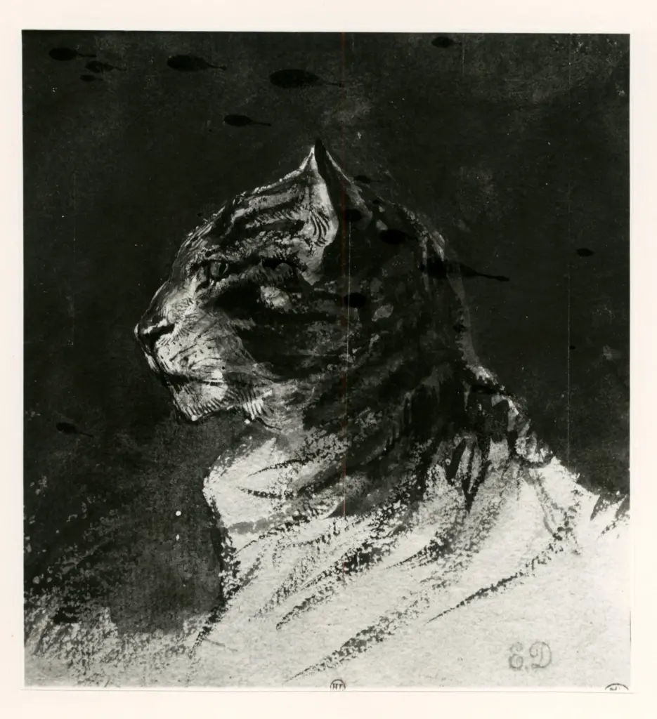 Anonimo, Anonimo , fronte