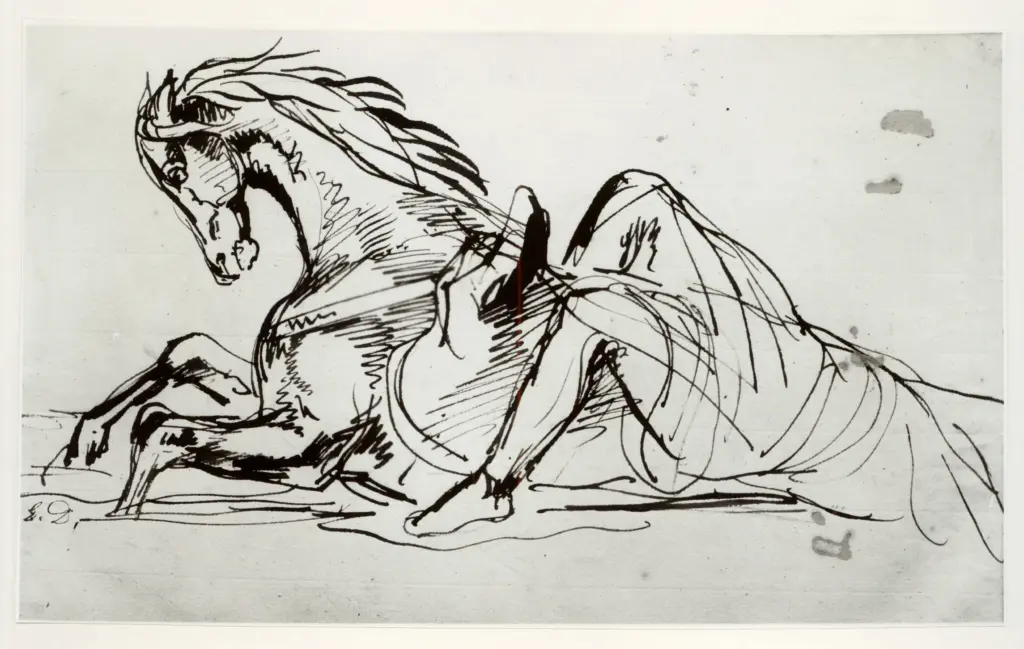 Anonimo, Anonimo , fronte