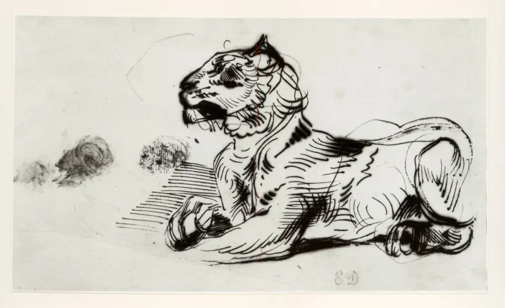 Anonimo, Anonimo , fronte