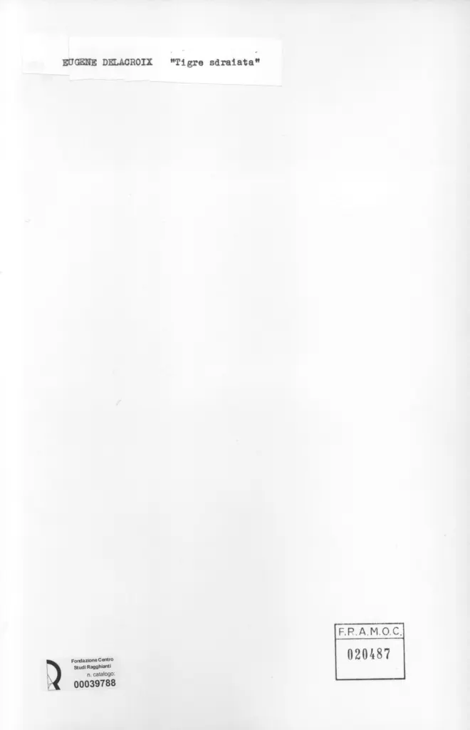 Anonimo, Anonimo , retro