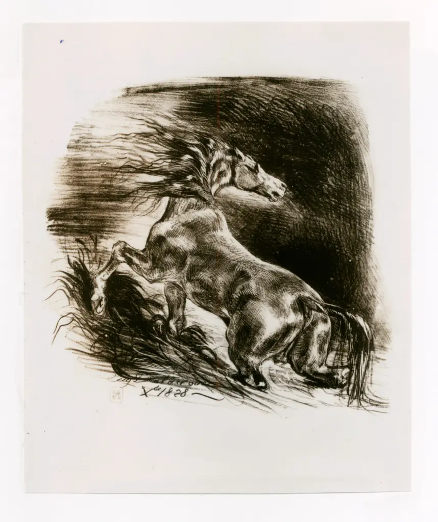 Anonimo , Delacroix, Eug&egrave;ne - sec. XIX - Cavallo selvaggio , fronte