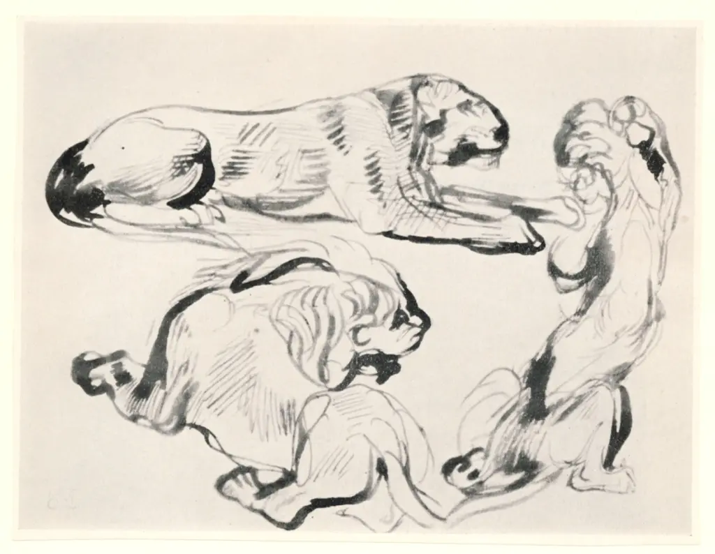 Anonimo, Anonimo , fronte