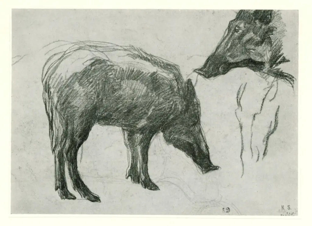 Anonimo, Anonimo , fronte