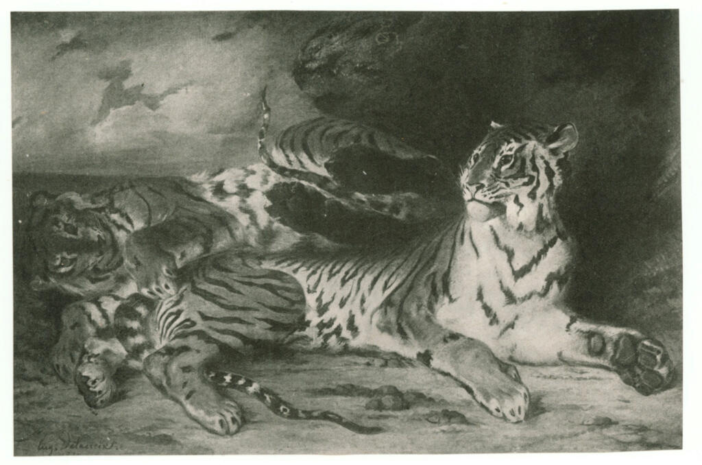 Anonimo , Delacroix, Eugène - sec. XIX - Tigrotto che gioca con la madre , fronte