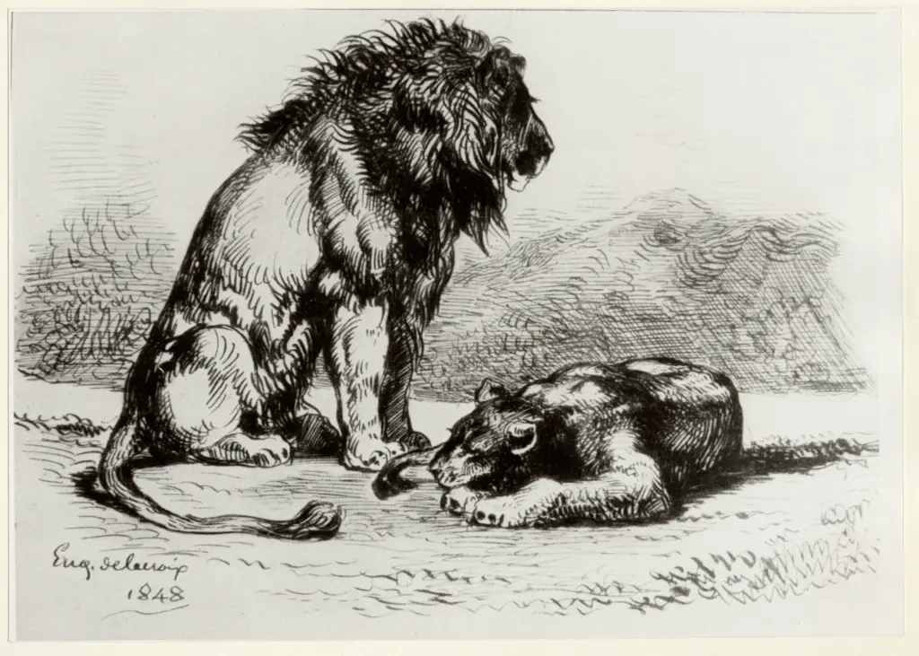 Anonimo, Anonimo , fronte