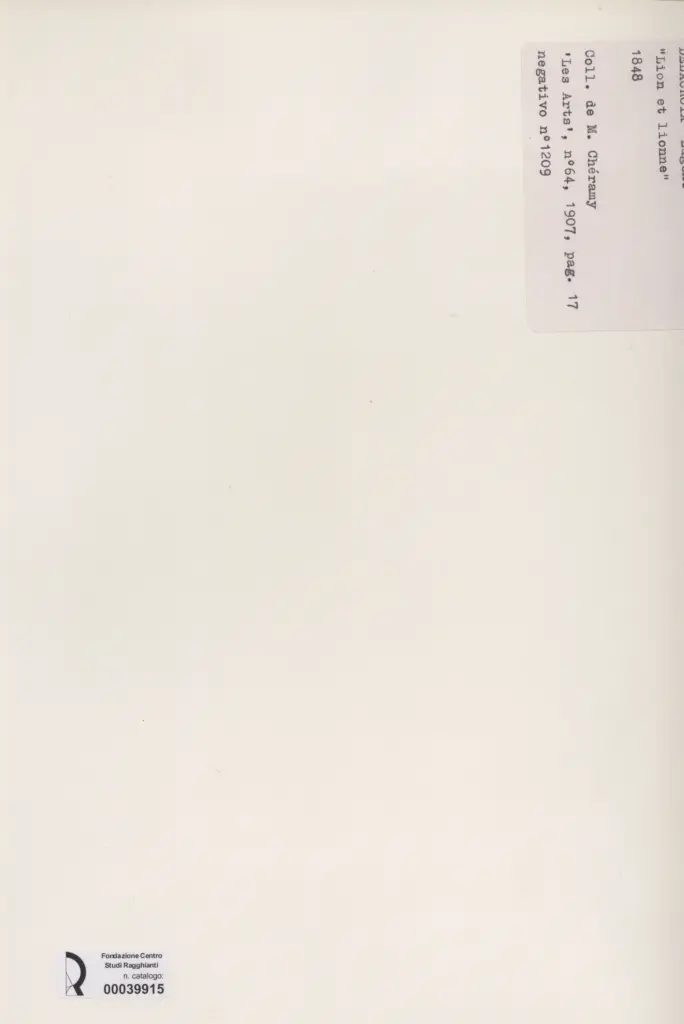 Anonimo, Anonimo , retro