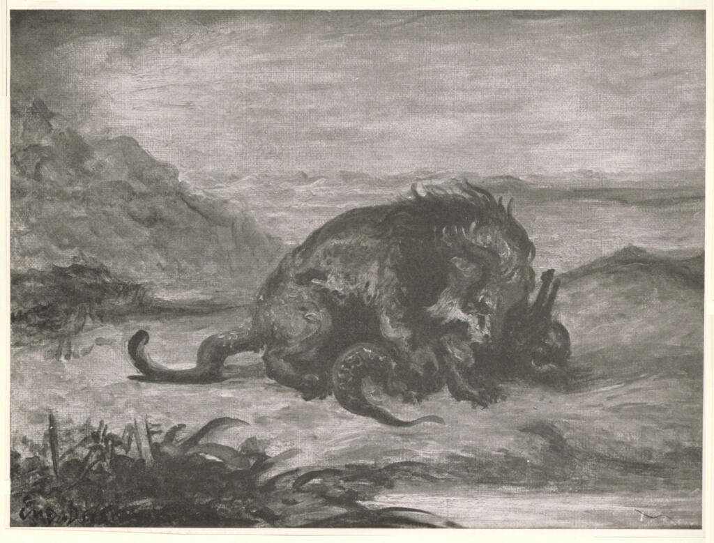 Anonimo , Delacroix, Eugène - sec. XIX - Leone che divora coccodrillo , fronte