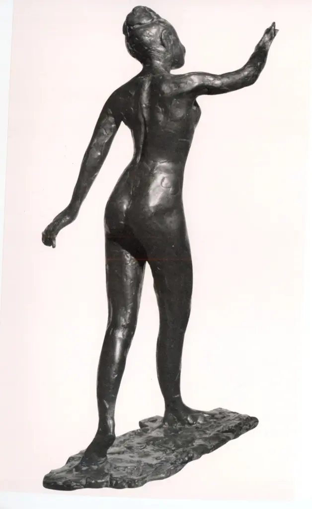 Anonimo, Anonimo , fronte