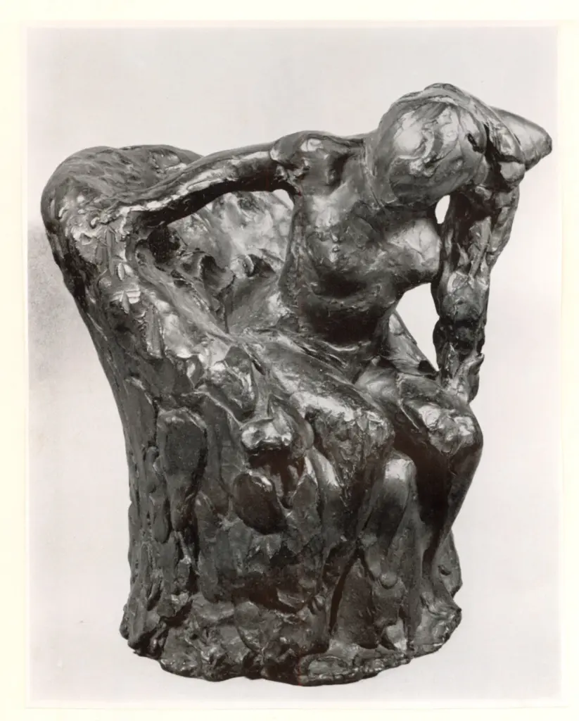 Anonimo, Anonimo , fronte