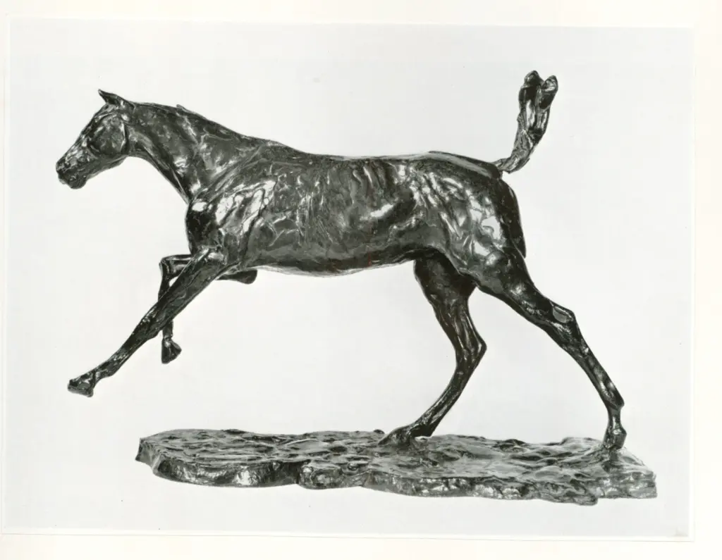 Anonimo, Anonimo , fronte