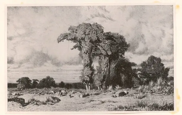 Anonimo ; Anonimo , s.v.