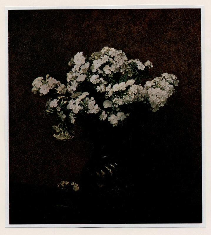 Fantin - Latour, Henri , - fiori bianchi in un vaso, - fiori bianchi in un vaso, - fiori bianchi in un vaso, - fiori bianchi in un vaso, - fiori bianchi in un vaso, - fiori bianchi in un vaso, - fiori bianchi in un vaso, - fiori bianchi in un vaso, - fiori bianchi in...