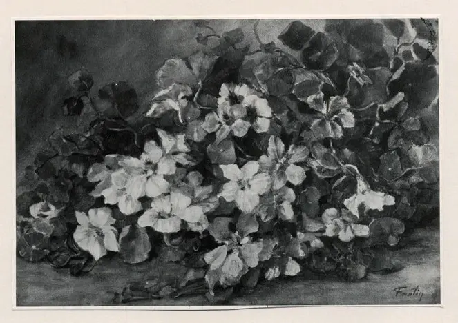 Anonimo , Fantin-Latour, Henri - sec. XIX - Bouquet di fiori , fronte