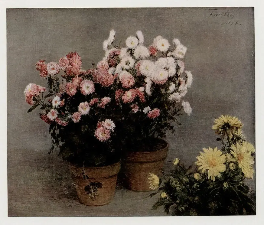 Anonimo , Fantin-Latour, Henri - sec. XIX - Crisantemi , fronte